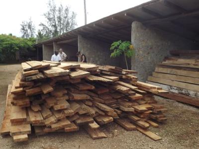 Holzlieferung