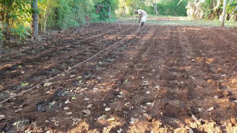 Farm auf dem Gelände der Schreinerei