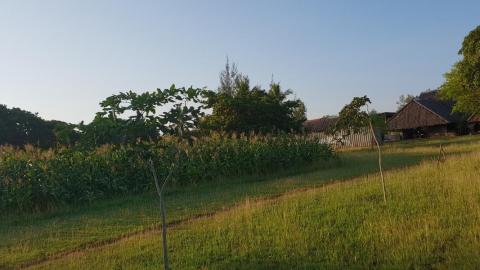 Farm auf dem Gelände der Schreinerei