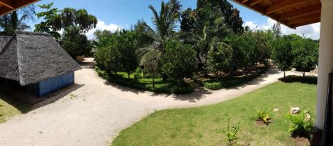 Nice-View II