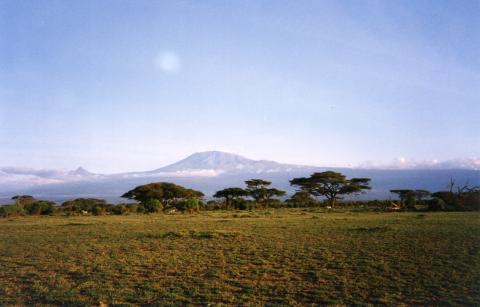 Der Kilimajaro 1996 auf einer Safari im Amboseli Nationalpark....