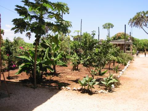 Ein Teil des Nice-View-Gartens