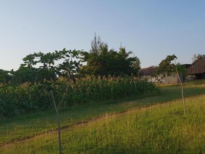 Farm auf dem Gelände der Schreinerei