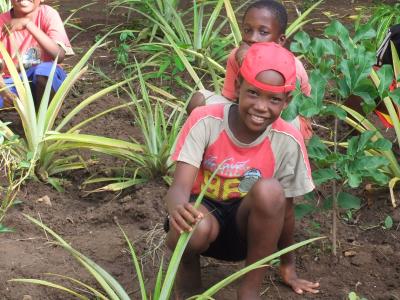 Joshua und die anderen Kinder helfen im Garten mit