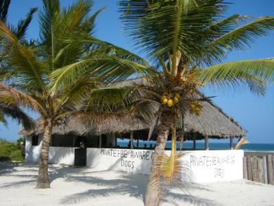 die Banda am Strand