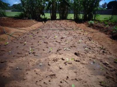 August 2016: Unsere kleine Farm auf dem Sportgelände