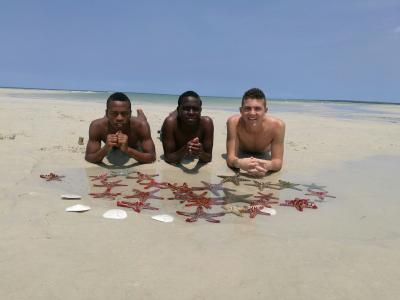 Ibrahim, Martin und Pascal