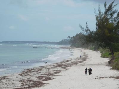 am Strand