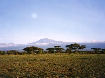 Der Kilimajaro 1996 auf einer Safari im Amboseli Nationalpark....