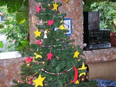 Der Nice-View-Weihnachtsbaum.....