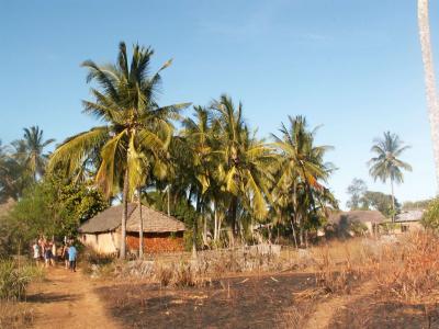 In der Umgebung von Nice-View-Children-Village I .....