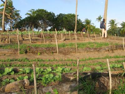 Nice-View-Farm (07/2008)