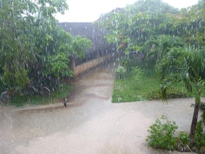 Die Regenzeit hat begonnen...