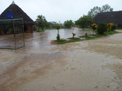 Die Regenzeit hat begonnen...