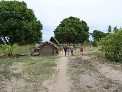 Ausflug zur Farm mit Bushtour