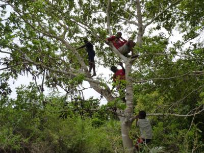 Ausflug zur Farm mit Bushtour