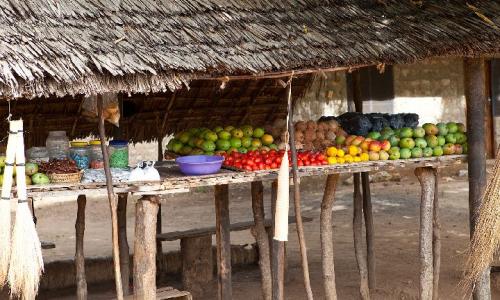 Obststand in Msambweni