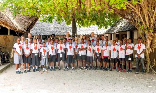 Nice View Reporter 2020