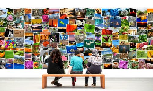 Drei Menschen vor ein großen Pinnwand voller Bilder