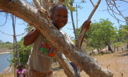 Ausflug auf die Farm