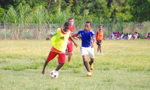 November 2014: Sporttag