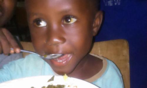 Juli 2015: Neue Kinder für Nice View