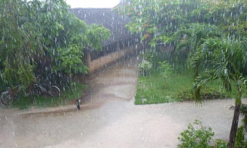 Die Regenzeit hat begonnen...