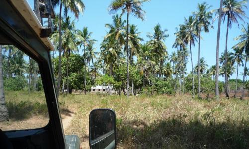 Fahrt durch den Busch