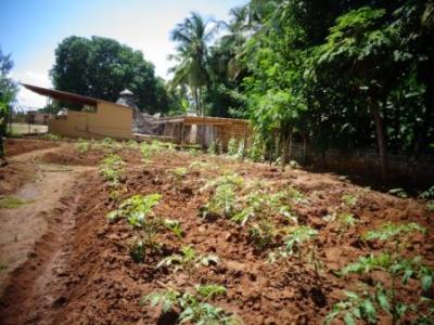August 2016: Unsere kleine Farm auf dem Sportgel&auml;nde