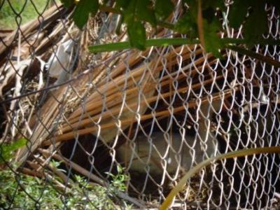 August 2016: Unsere kleine Farm auf dem Sportgel&auml;nde