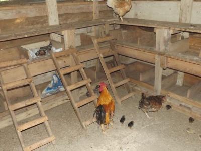 August 2016: Unsere kleine Farm auf dem Sportgel&auml;nde