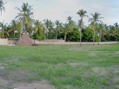 2011 Nice View Sportstätte 2011 Nice View Sportstätte