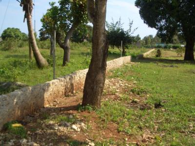 Spatenstich in 2006 - Entstehung von Nice View II Spatenstich in 2006 - Entstehung von Nice View II