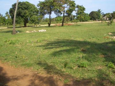 Spatenstich in 2006 - Entstehung von Nice View II Spatenstich in 2006 - Entstehung von Nice View II