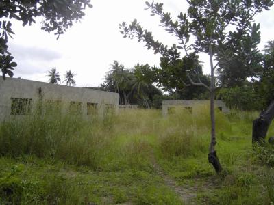 Bild aus dem Jahr 2006 Bild aus dem Jahr 2006