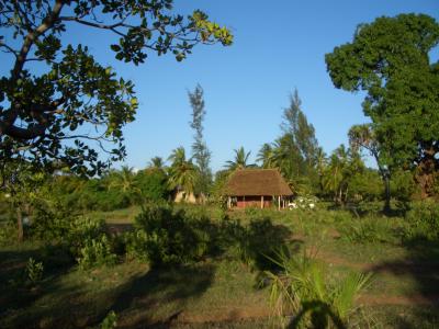 November 2006 - Nice View II - November 2006 - Nice View II -