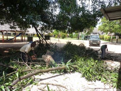 November 2011: Nice View II - Msambweni - Südküste Kenia November 2011: Nice View II - Msambweni - Südküste Kenia