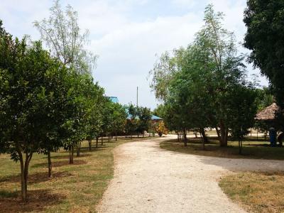 Januar 2015: Nice View II an der Südküste Kenias in Msambweni Januar 2015: Nice View II an der Südküste Kenias in Msambweni