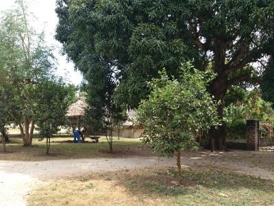 Januar 2015: Nice View II an der Südküste Kenias in Msambweni Januar 2015: Nice View II an der Südküste Kenias in Msambweni