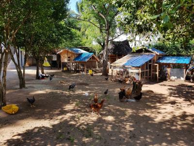 November 2018: Auch Tiere dürfen in Nice View II nicht fehlen November 2018: Auch Tiere dürfen in Nice View II nicht fehlen