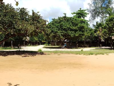 November 20018: Nice View II November 20018: Nice View II