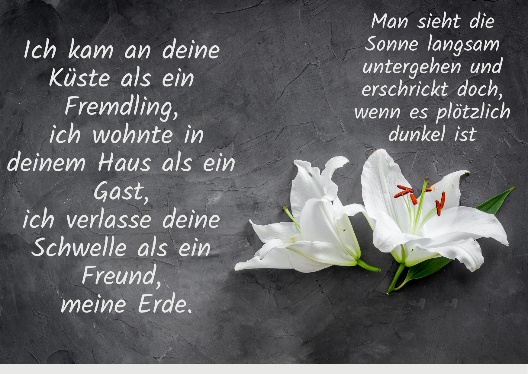 2024_04_Beerdigung_Papa_Edi_Nice-View