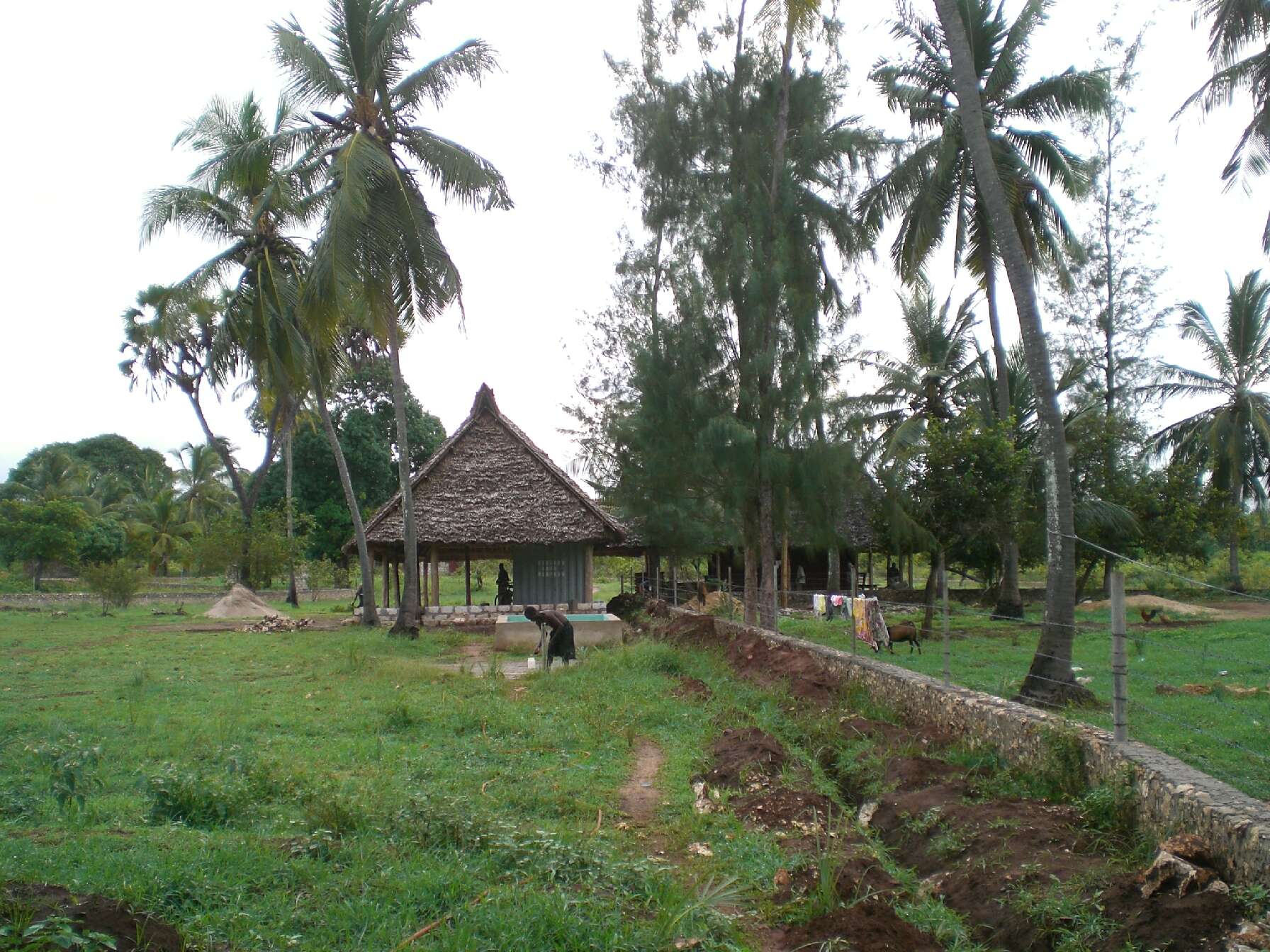 Impressionen Nice View Projekte Msambweni Kenia 2007
