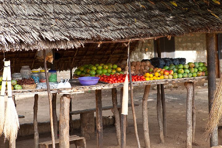 Impressionen Nice View Projekte Msambweni Kenia 2009