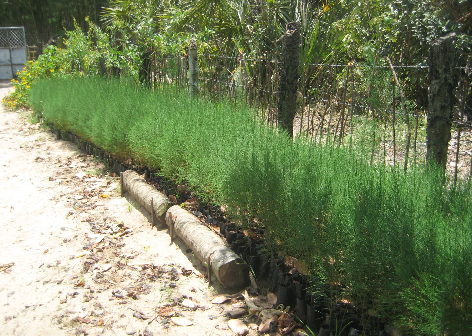 Selbstversorgung Und Ernte Nice View