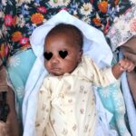 Nice View wächst weiter