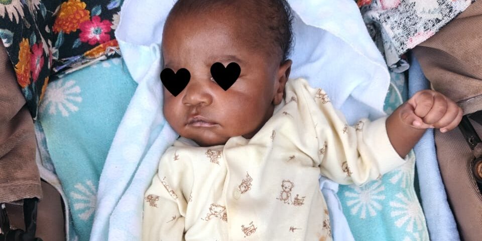 Nice View wächst weiter