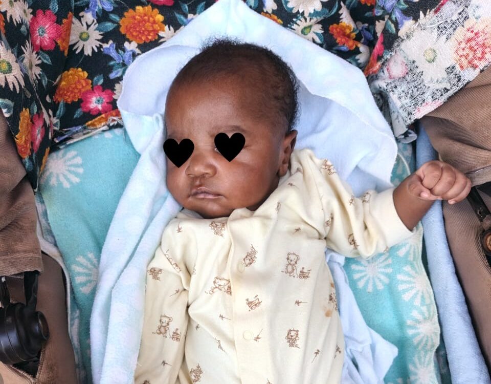 Nice View wächst weiter